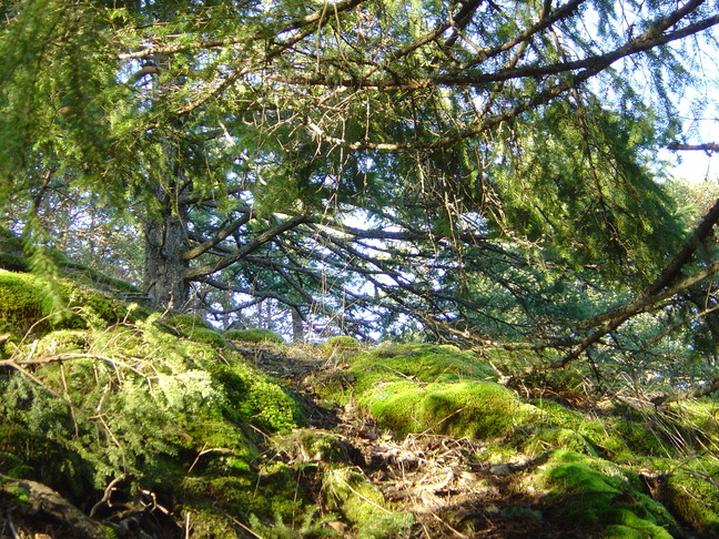 DSC04806
